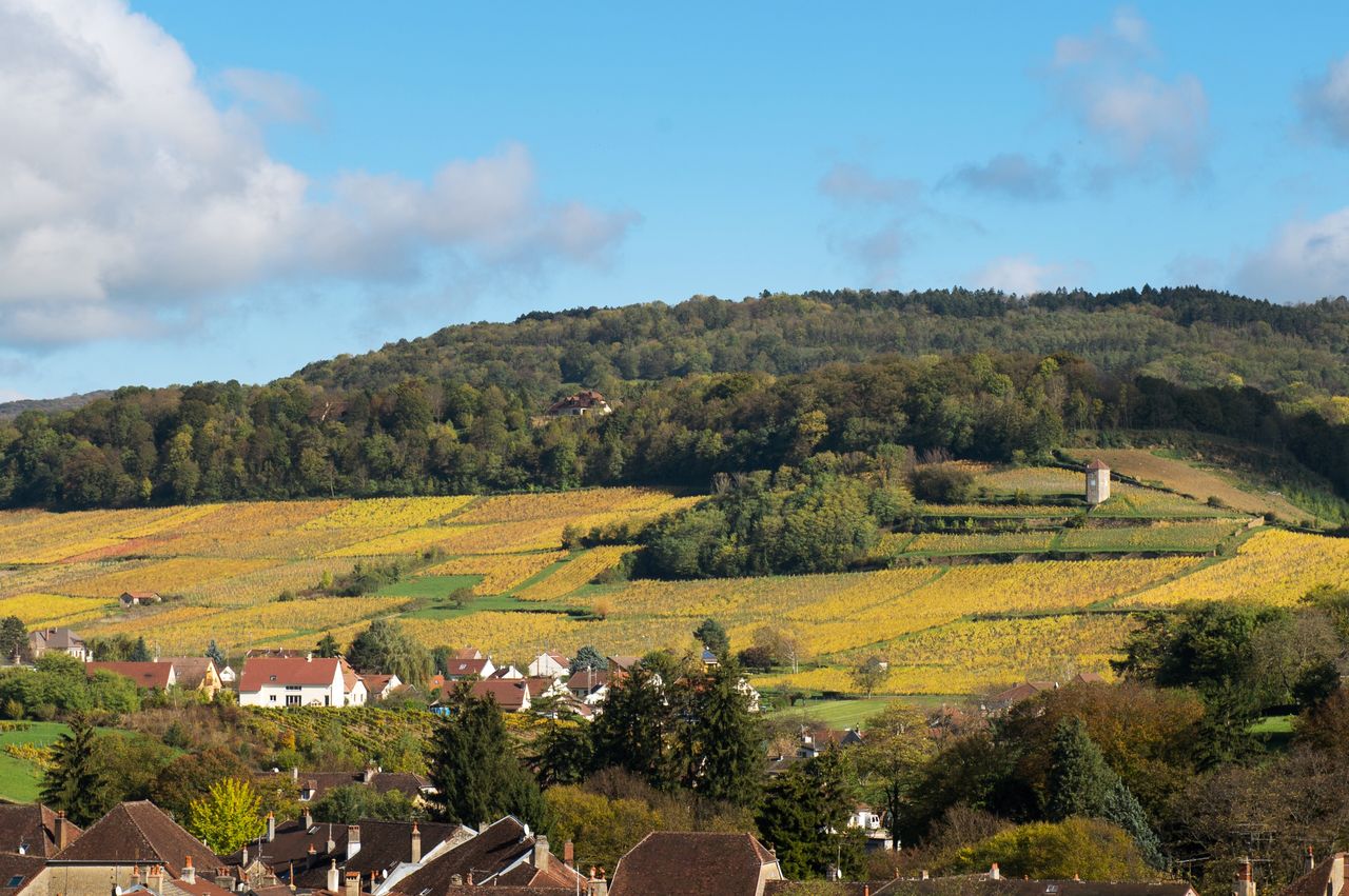 Communes Arbois Tour de Curon WKF_8439